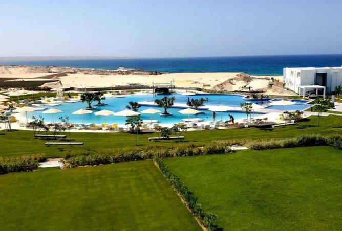 8155830 - صورة العقار 2