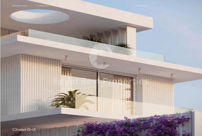 7982776 - Property Image 2