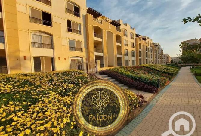 8445248 - Property Image 3