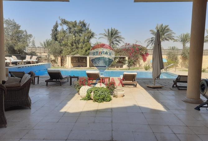 8223762 - صورة العقار 3