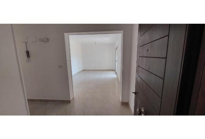 8236655 - Property Image 3