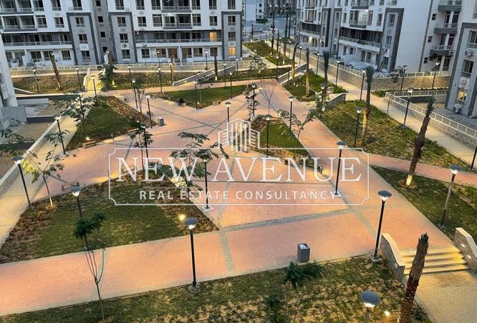 8394444 - Property Image 2