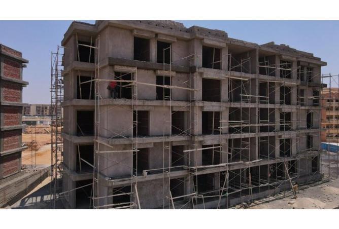 8040216 - Property Image 3