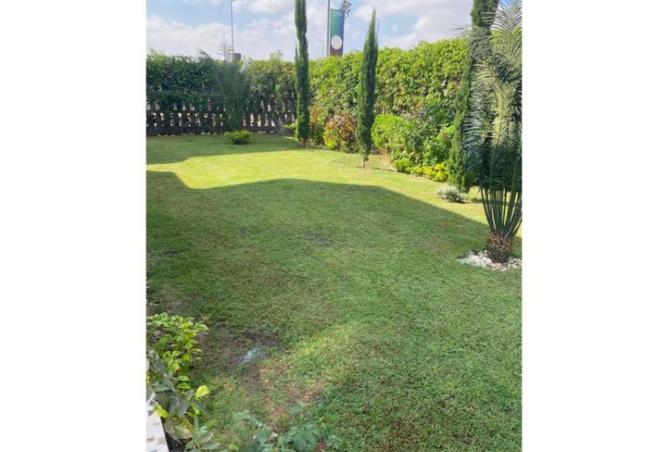 8276587 - الصورة الرئيسية للعقار