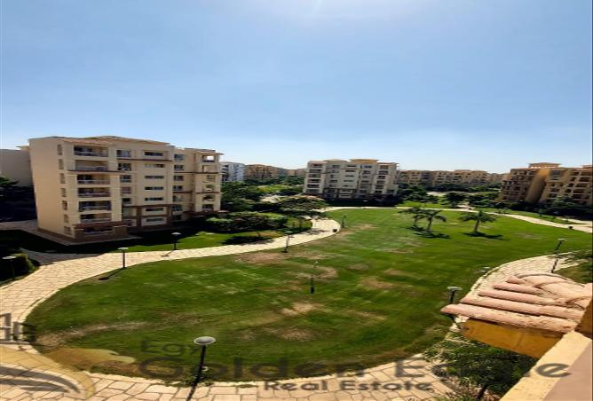 7948481 - صورة العقار 3