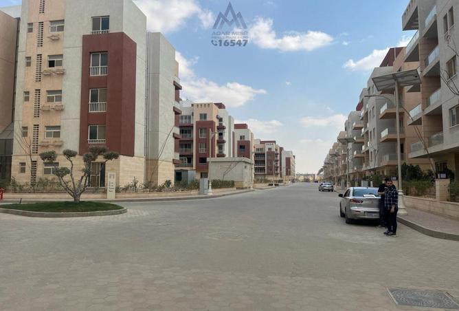 8300353 - صورة العقار 3