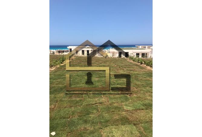 7334275 - Property Image 3