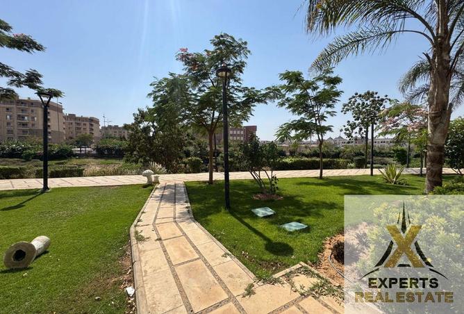 8070874 - صورة العقار 2