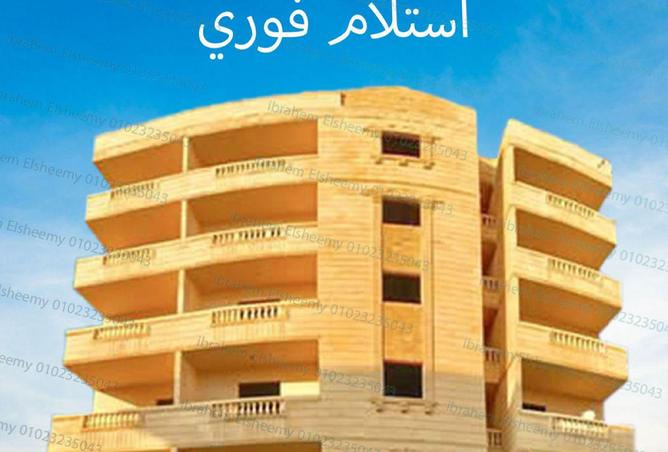 7951761 - صورة العقار 2