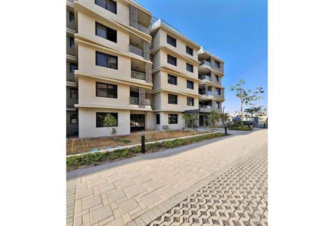 8097235 - Property Image 3