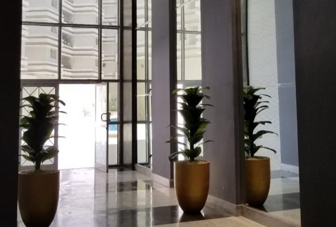 8026641 - صورة العقار 3