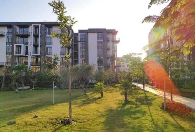 8354319 - صورة العقار 2