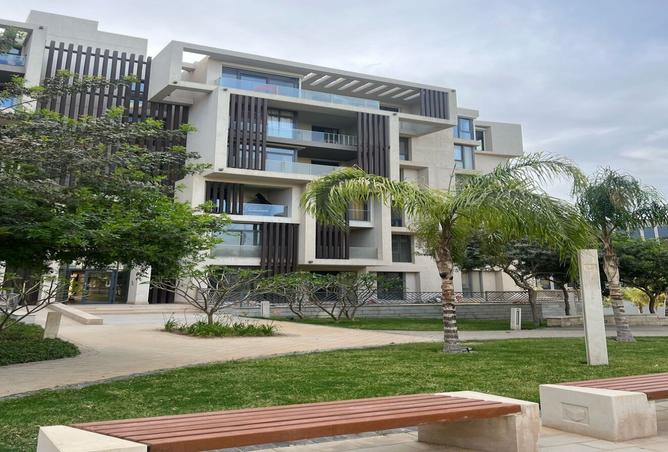 8449599 - Property Image 3