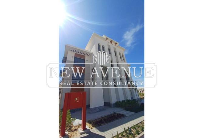 8298785 - صورة العقار 2