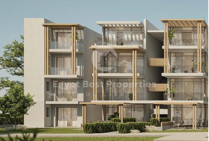 8178731 - Property Image 3