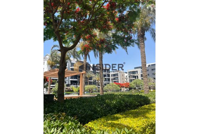 8382579 - صورة العقار 3