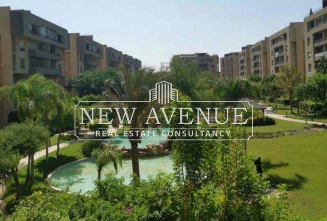 8163389 - Property Image 2