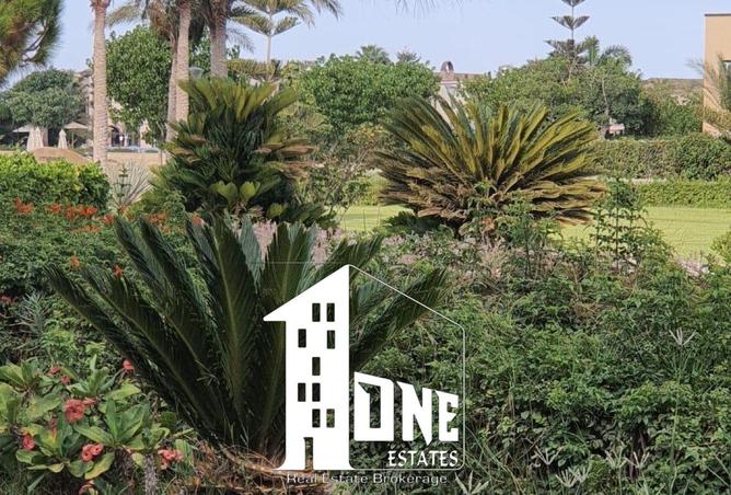 8270519 - Property Image 3