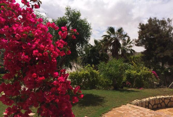 8431781 - صورة العقار 2