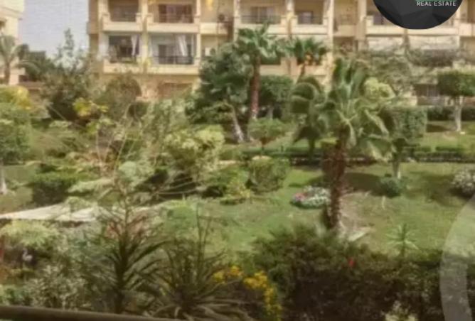 8128025 - صورة العقار 2