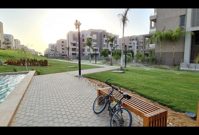 8198086 - صورة العقار 2