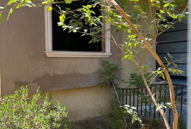 7934262 - Property Image 3