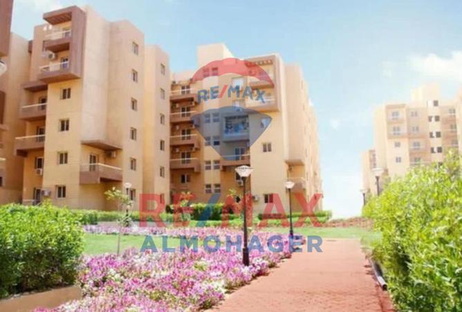 7927635 - صورة العقار 3