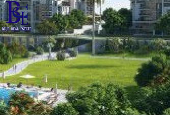 8051137 - Property Image 3