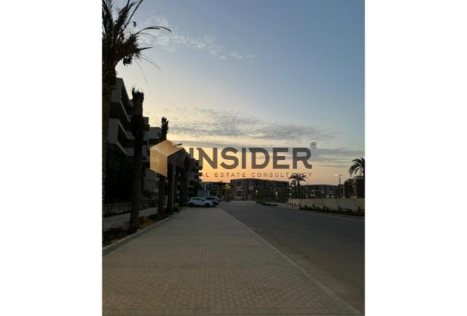 8439828 - Property Image 2