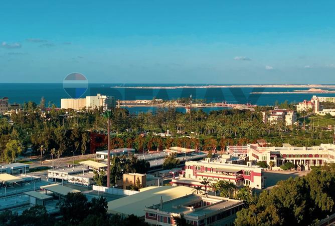 8286712 - صورة العقار 2