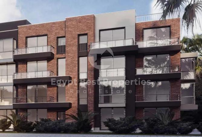 8367828 - Property Image 3