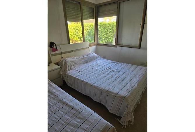 8293388 - Property Image 3