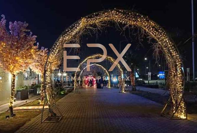 7873994 - Property Image 3