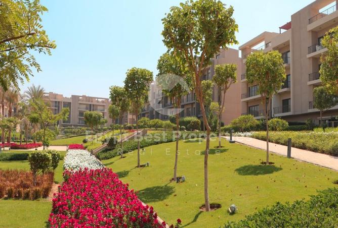 8201351 - صورة العقار 2