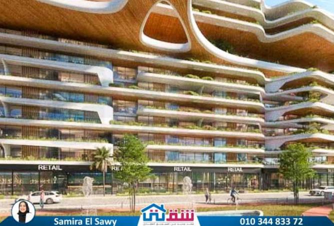 8094013 - Property Image 3