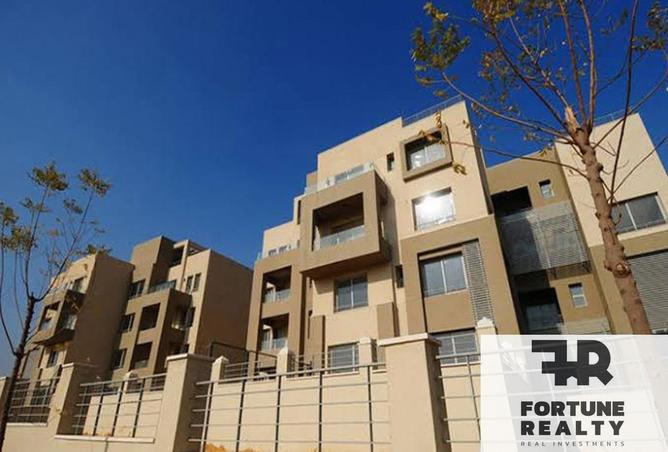 8358605 - Property Image 3