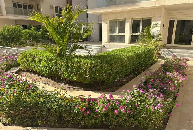 7896053 - صورة العقار 3