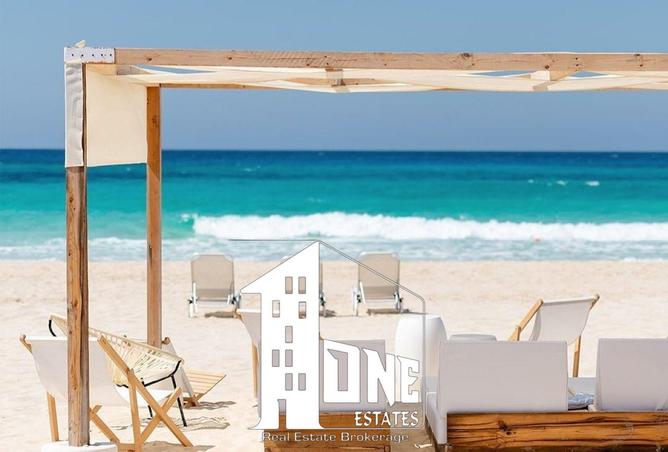 8413822 - Property Image 3