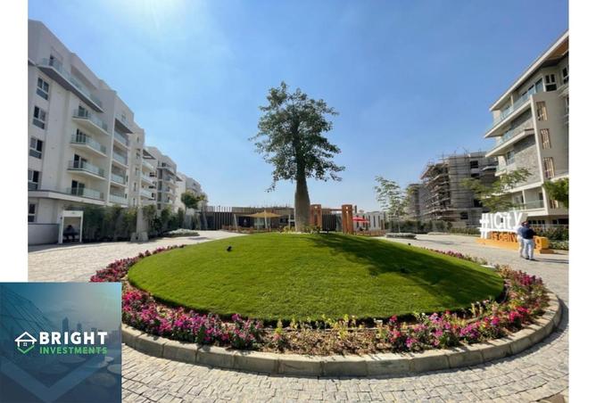 8063858 - صورة العقار 3