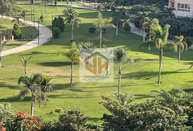 8481333 - Property Image 3