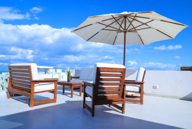 7930242 - Property Image 3