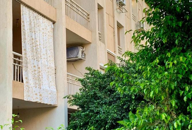 8400359 - صورة العقار 3