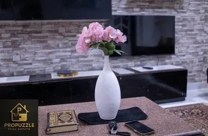 Apartment - 2 Bedrooms - 1 Bathroom for rent in Arabeya - South Investors Area - New Cairo City - Cairo