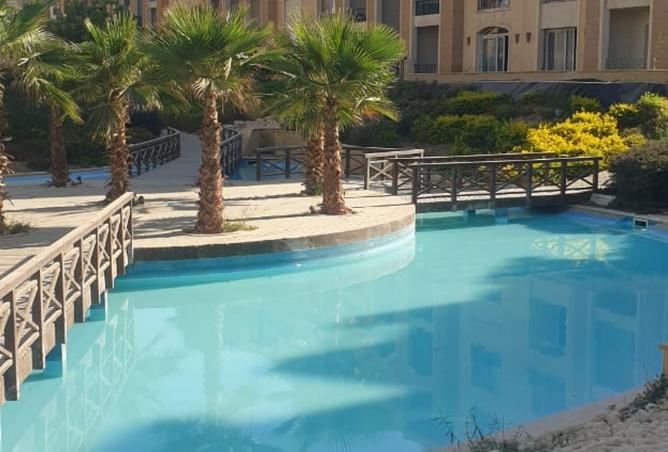 8108528 - Property Image 3