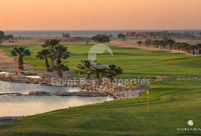 7923009 - صورة العقار 2