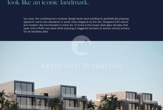 7916867 - Property Image 3