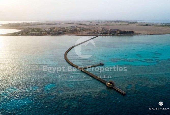 7906838 - Property Image 3
