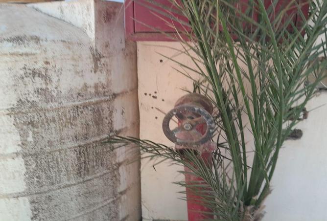 5656849 - صورة العقار 2