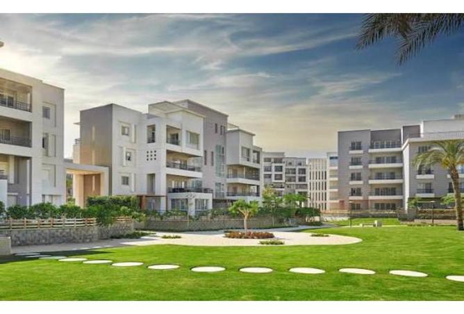 7990232 - Property Image 3