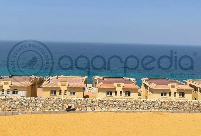 8213532 - صورة العقار 3